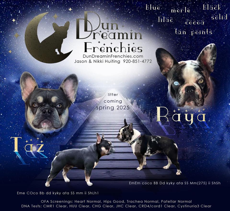 raya and taz 2025